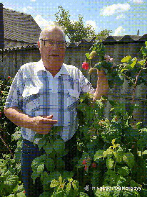 Залеўскі Вацлаў Браніслававіч